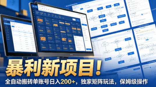 暴利新项目!全自动搬砖单账号日入200+,独家矩阵玩法,保姆级操作【揭秘】-云阁资源网